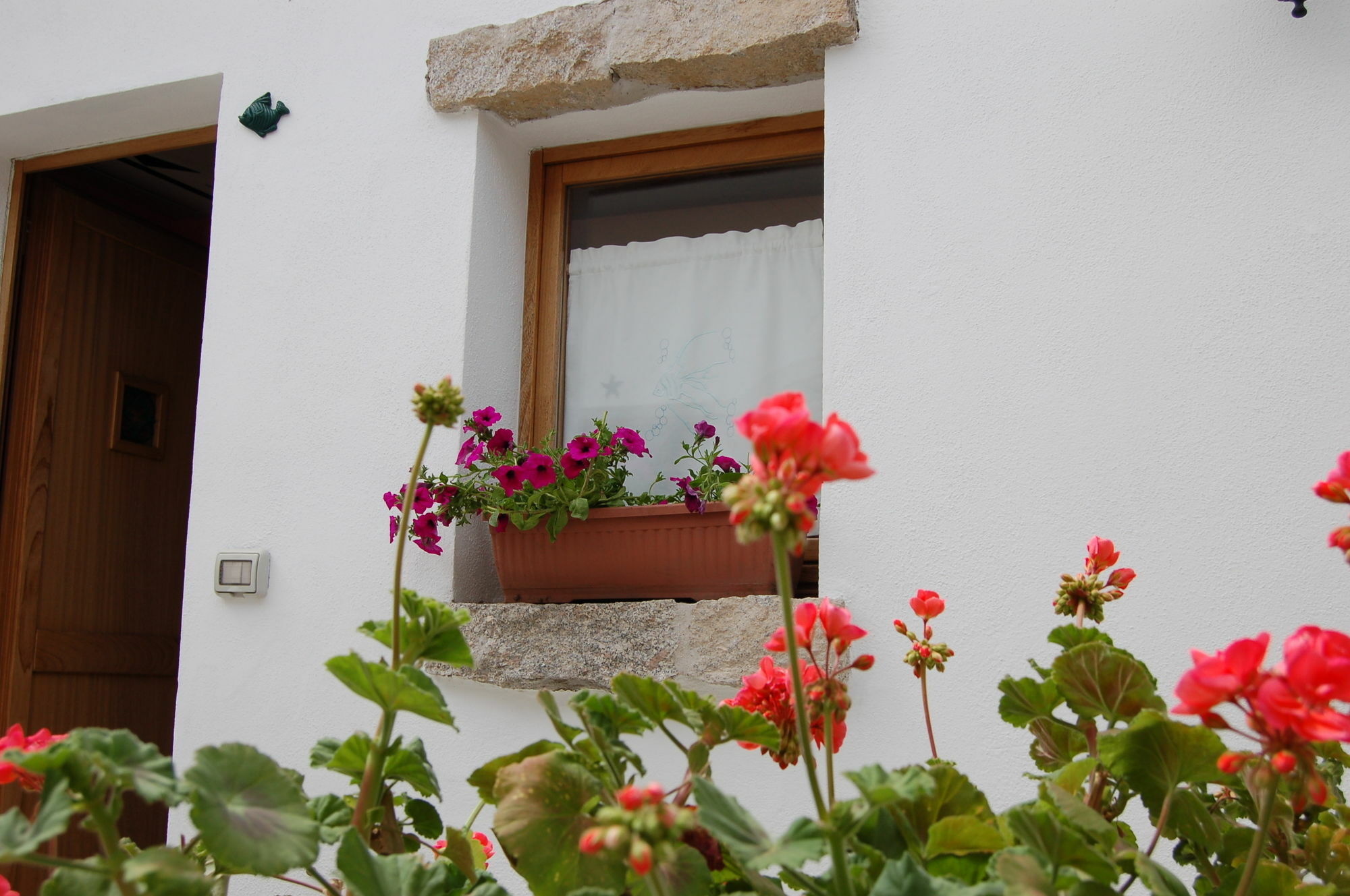 Olbia Domus Inn Exterior foto